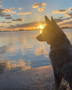 sunrise-aayla